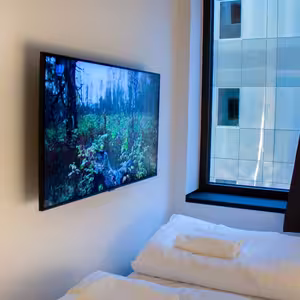A modern hostel room features a wall-mounted flat-screen TV showing a nature scene with green surroundings. A neatly made bed with white bed linen and a towel is in the foreground next to a window overlooking a neighbouring building.